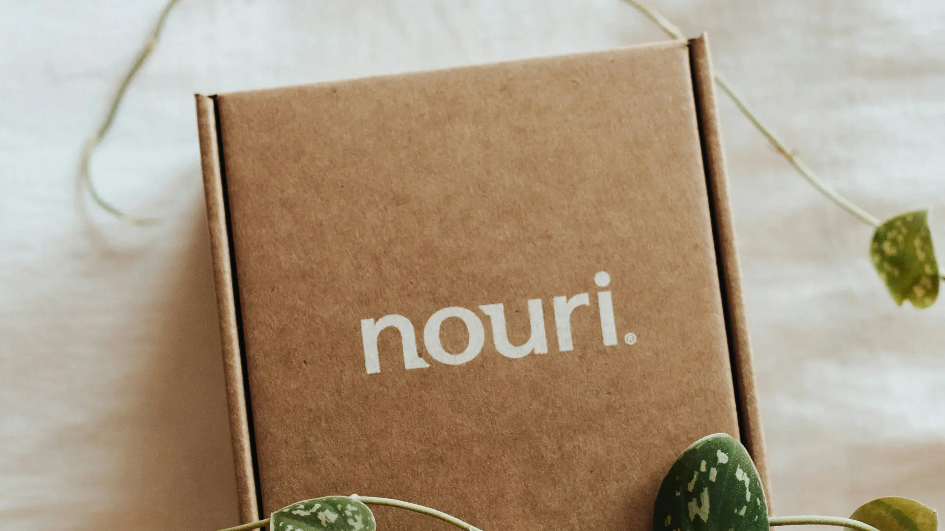 Minimalist Luxury Packaging Design Ideas