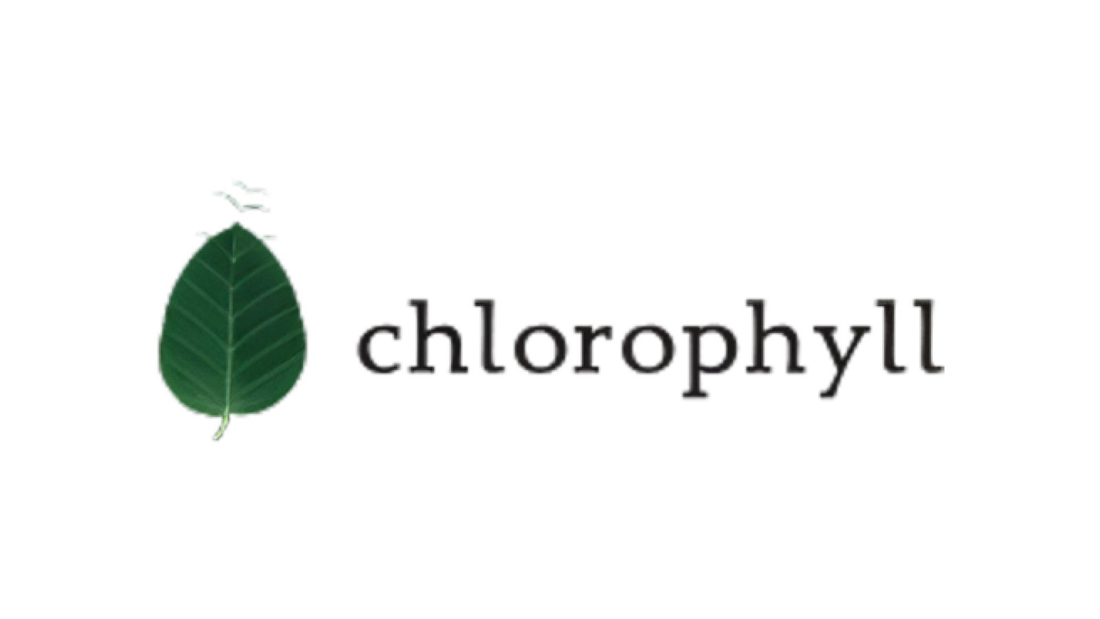 Best Branding Agencies in Mumbai